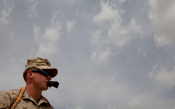 Improvised Explosive Device Detection Dogs (IDD)