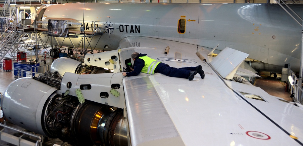 AMS and EMS inspect tail No. 445; Maintenance essential for component