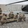 ‘Mustang’ distribution platoon receives medical evacuation training