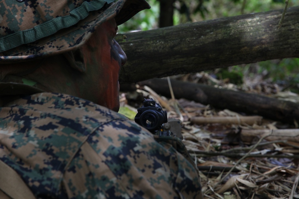 Lima 3/6 Marines conduct jungle warfare training during Guahan Shield