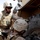 CLR-2 Conducts Combat Logistics Patrol