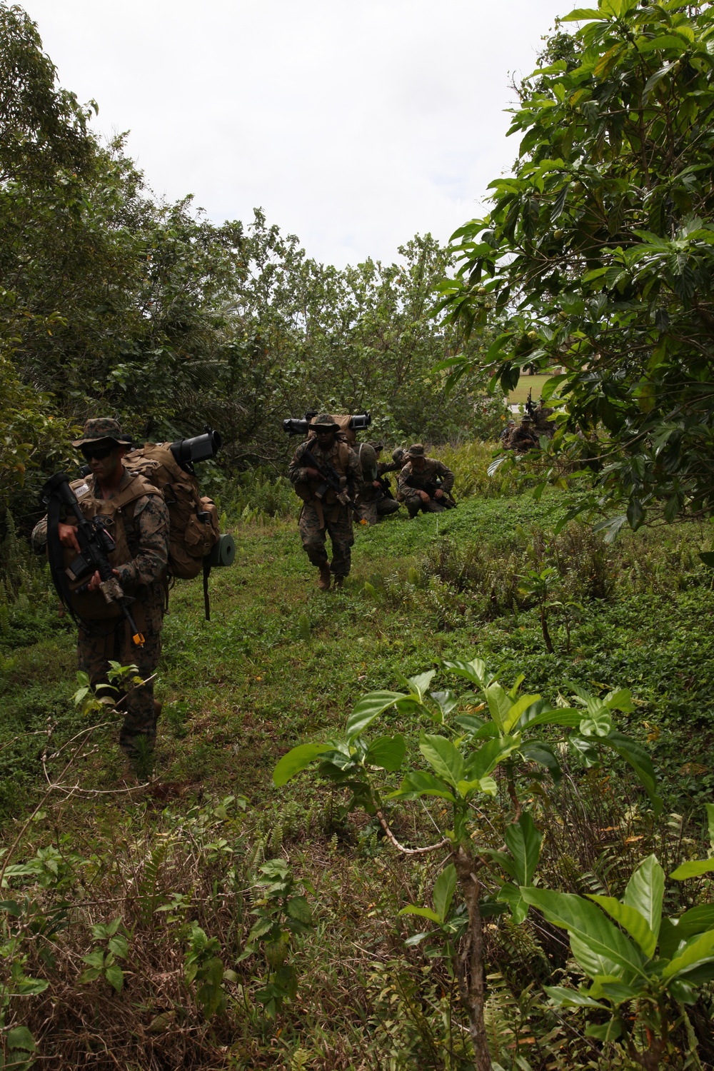 Lima 3/6 Marines conduct jungle warfare training during Guahan Shield