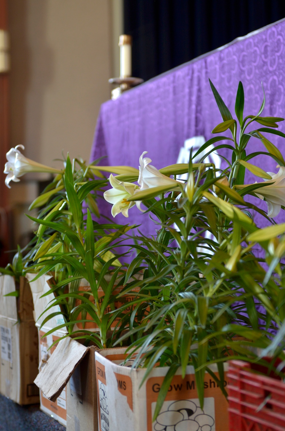 Inmates making lilies an Easter tradition