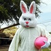 Mavericks host Easter Eggstravaganza