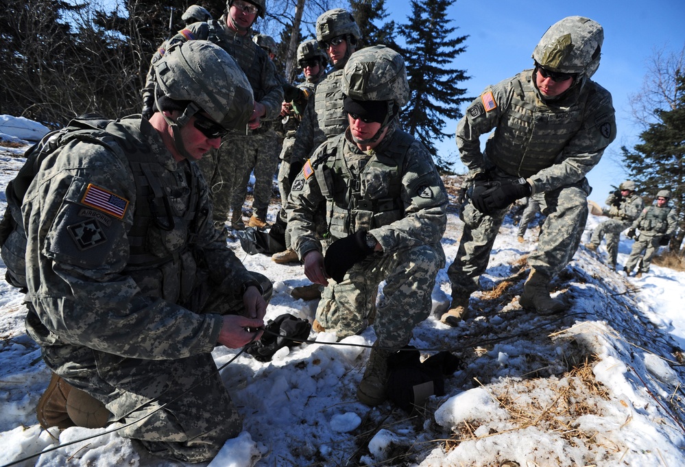 &quot;Timber!&quot; Paratroopers cut down trees with explosives