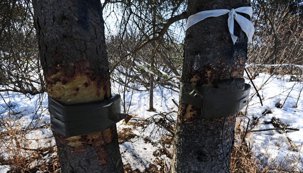 &quot;Timber!&quot; Paratroopers cut down trees with explosives