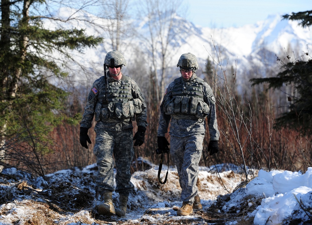 &quot;Timber!&quot; Paratroopers cut down trees with explosives