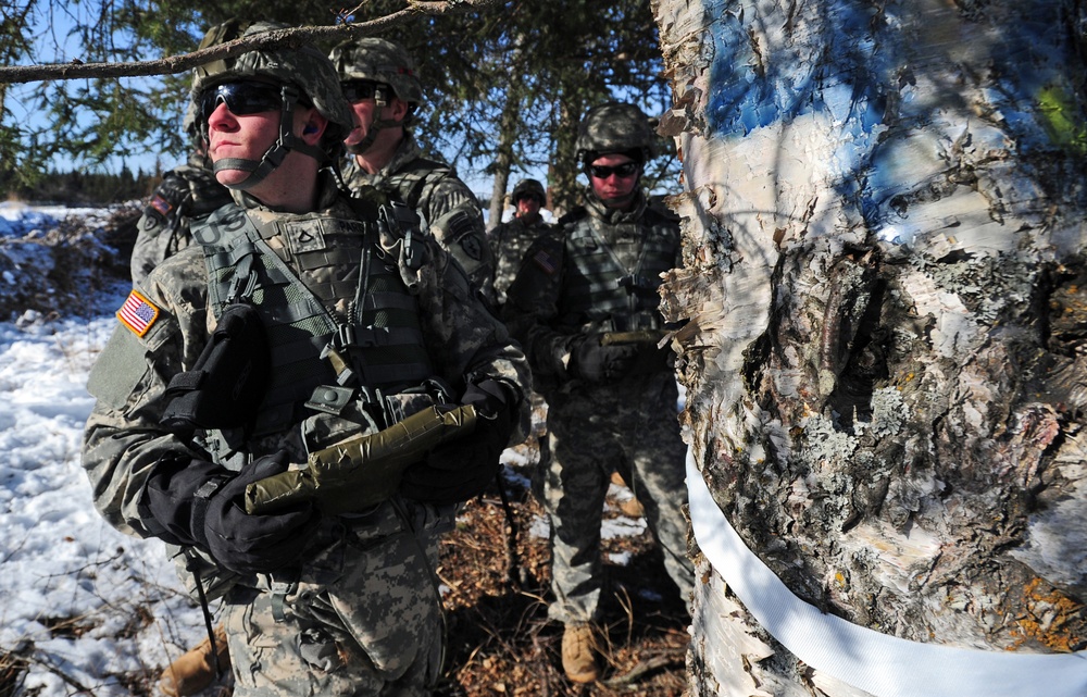 &quot;Timber!&quot; Paratroopers cut down trees with explosives