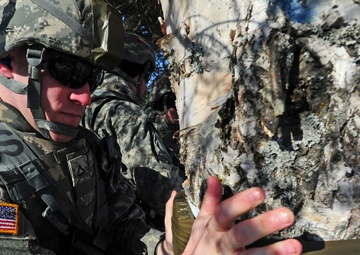 &quot;Timber!&quot; Paratroopers cut down trees with explosives