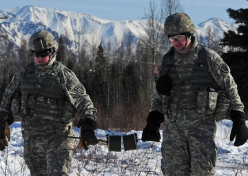 &quot;Timber!&quot; Paratroopers cut down trees with explosives