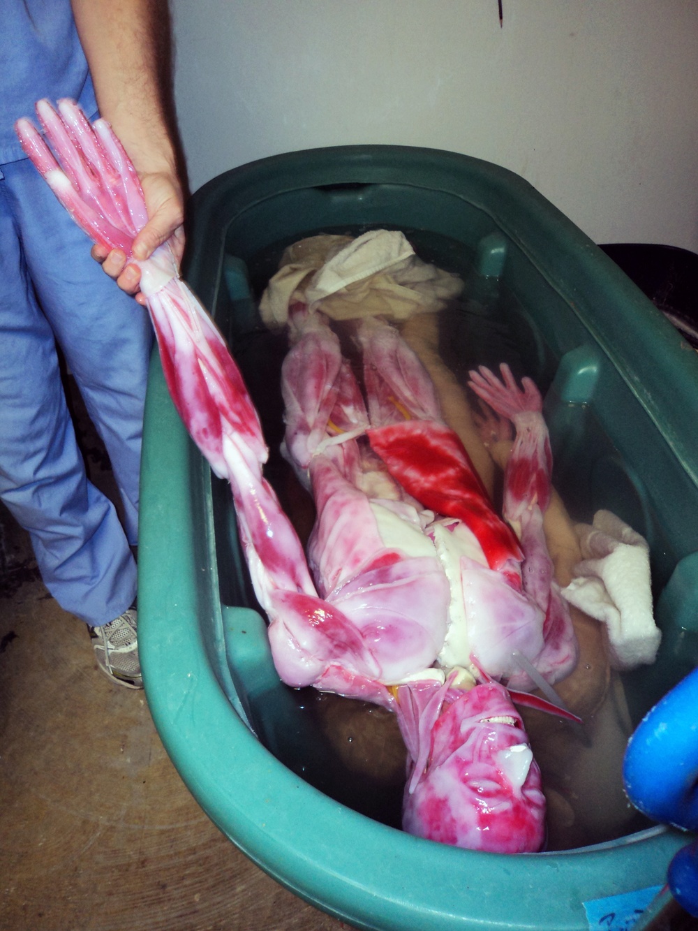 Contracting for synthetic patients