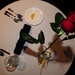A single rose