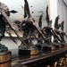 2012 AFDW Annual Awards Winners