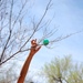 Cannon AFB Easter Egg Hunt