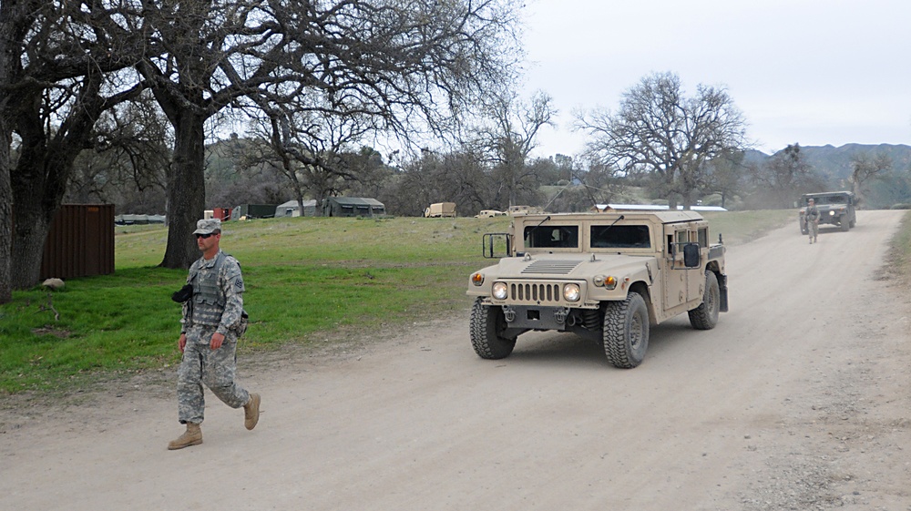 Warrior Exercise