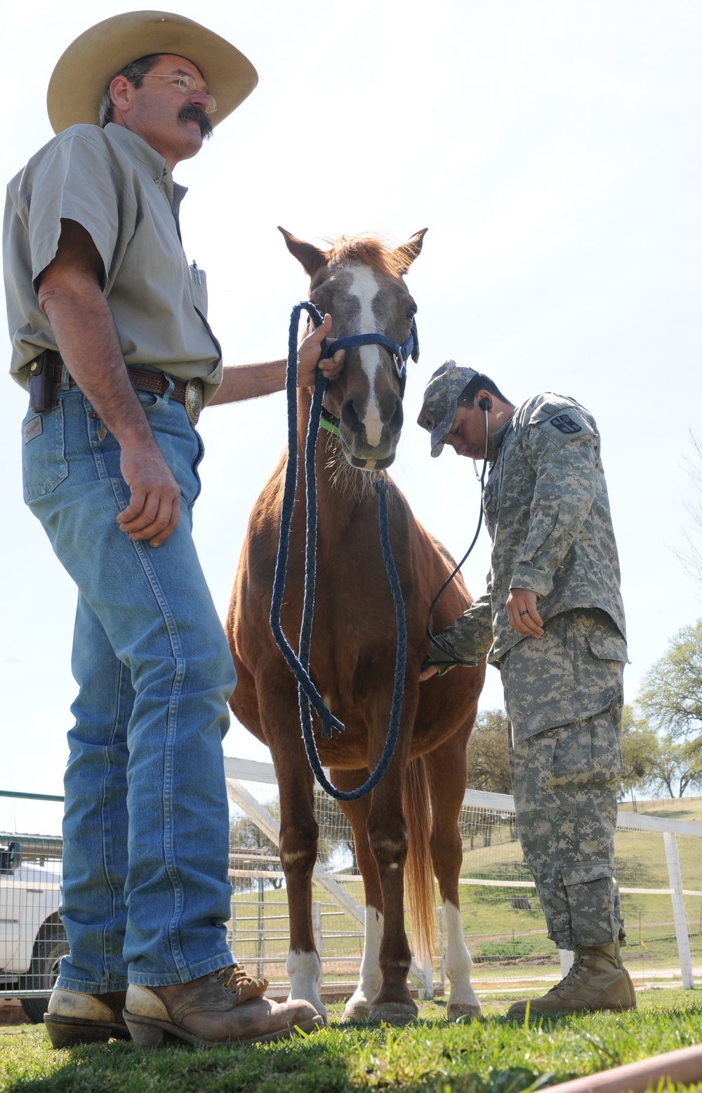 Army vets get valuable training at Redwings Horse Sanctuary