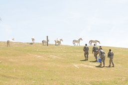 Army vets get valuable training at Redwings Horse Sanctuary
