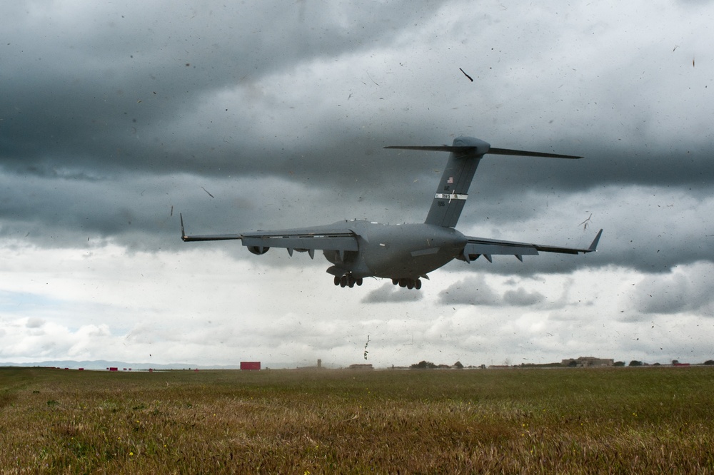 New Travis ALZ ready for training