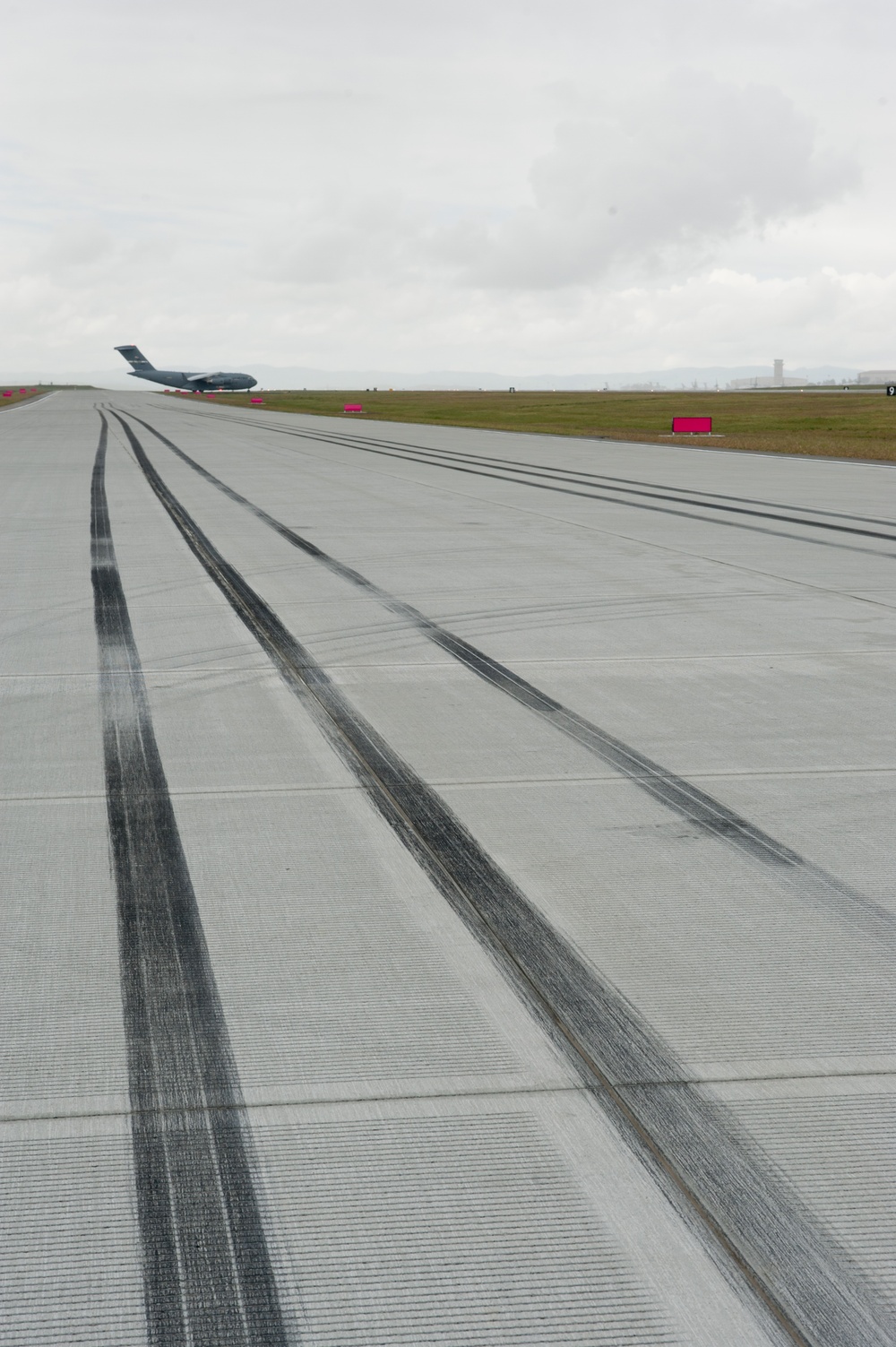 New Travis ALZ ready for training