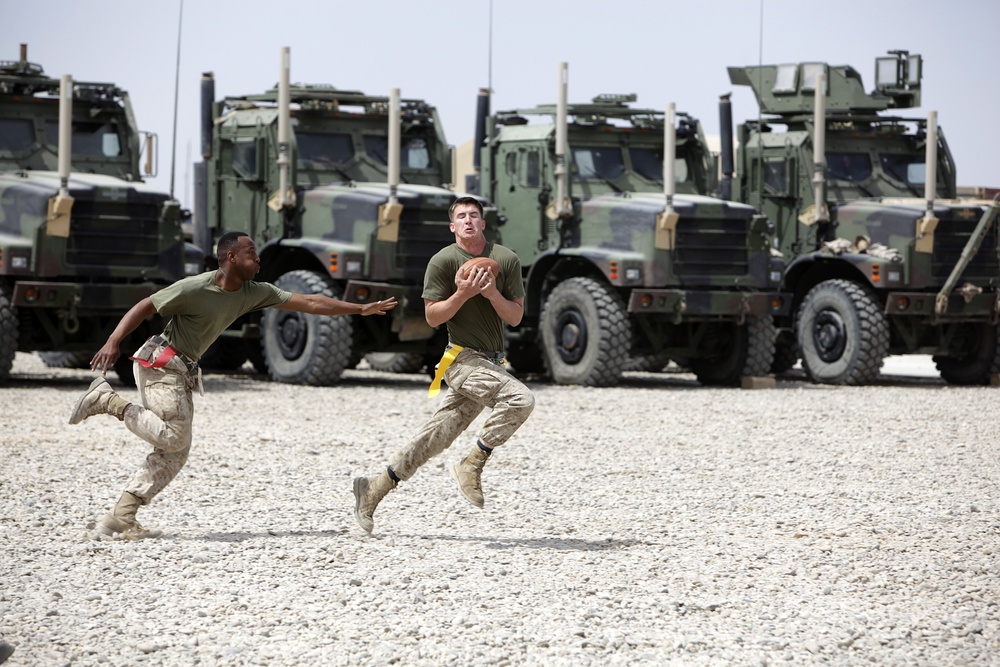 Combat Logistics Company 28 Barbecue