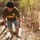 Looc Elementary School engineering project