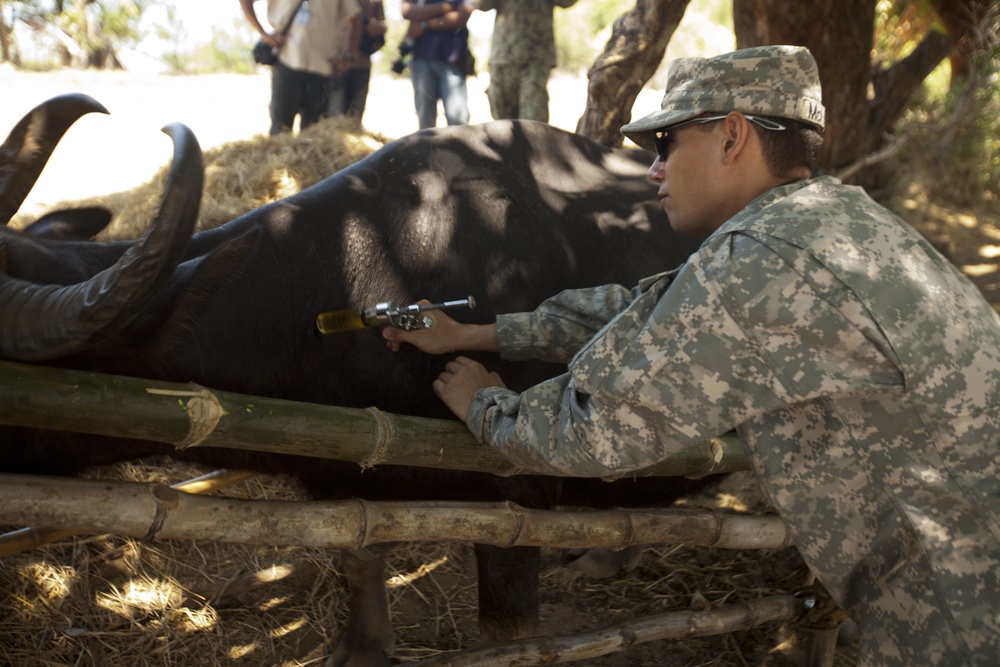 Balikatan 2013 - Iba