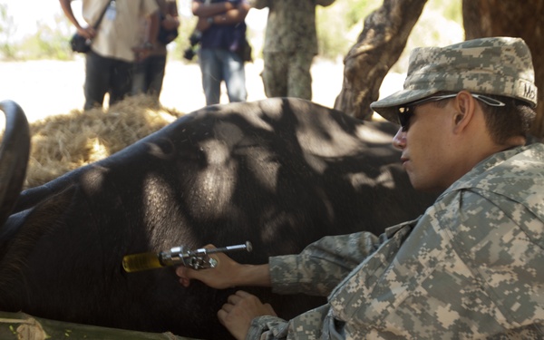 Balikatan 2013 - Iba