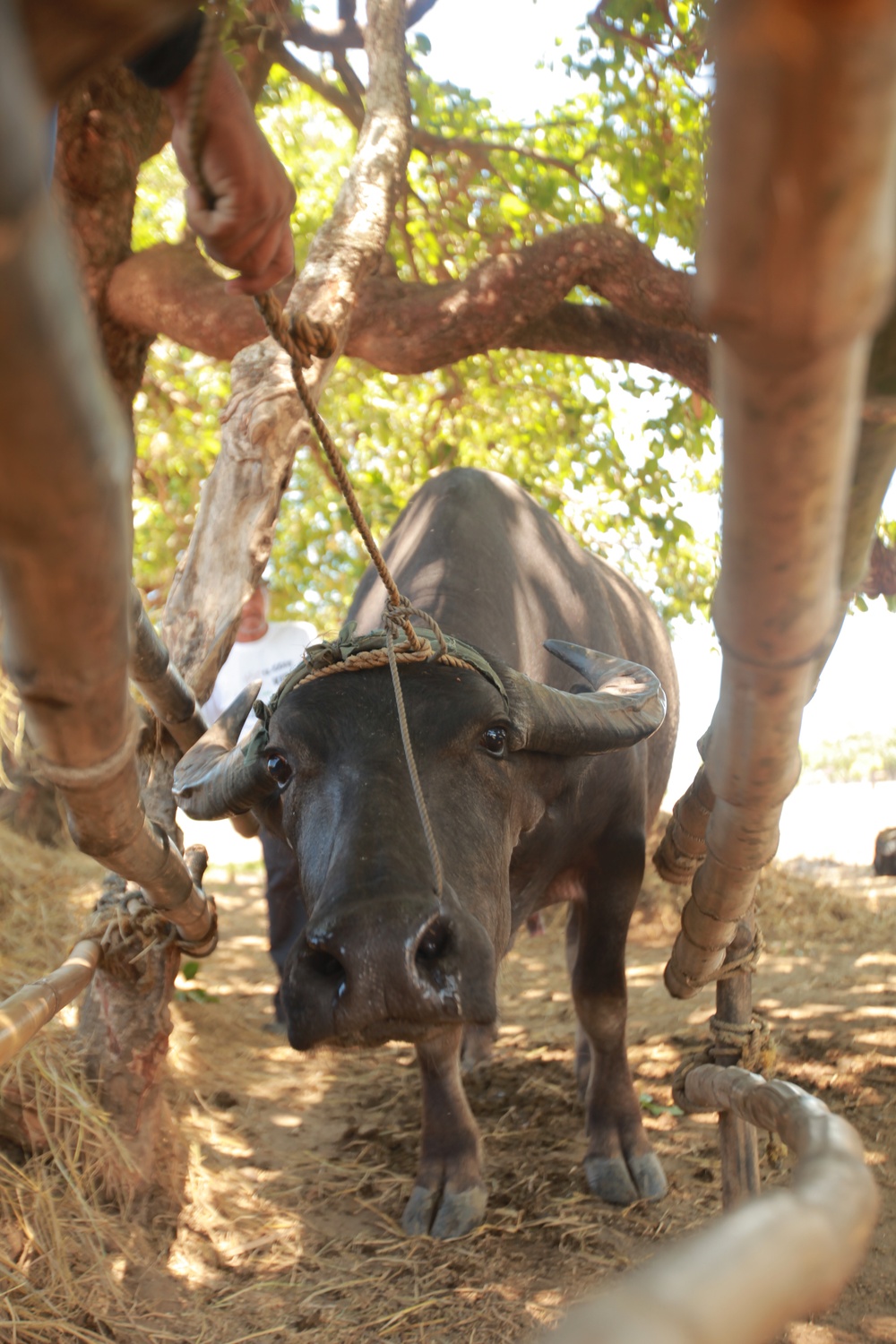 Balikatan 2013 - Iba