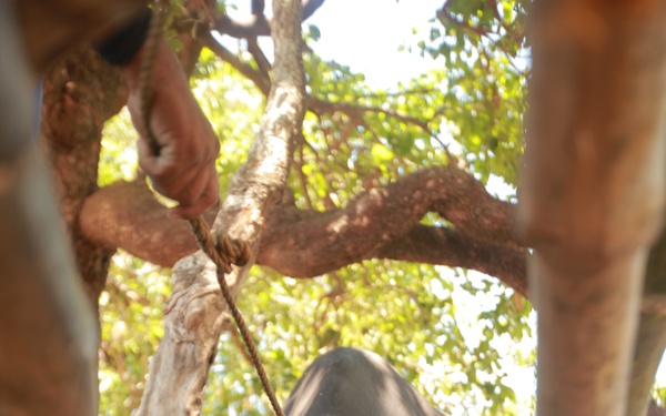 Balikatan 2013 - Iba