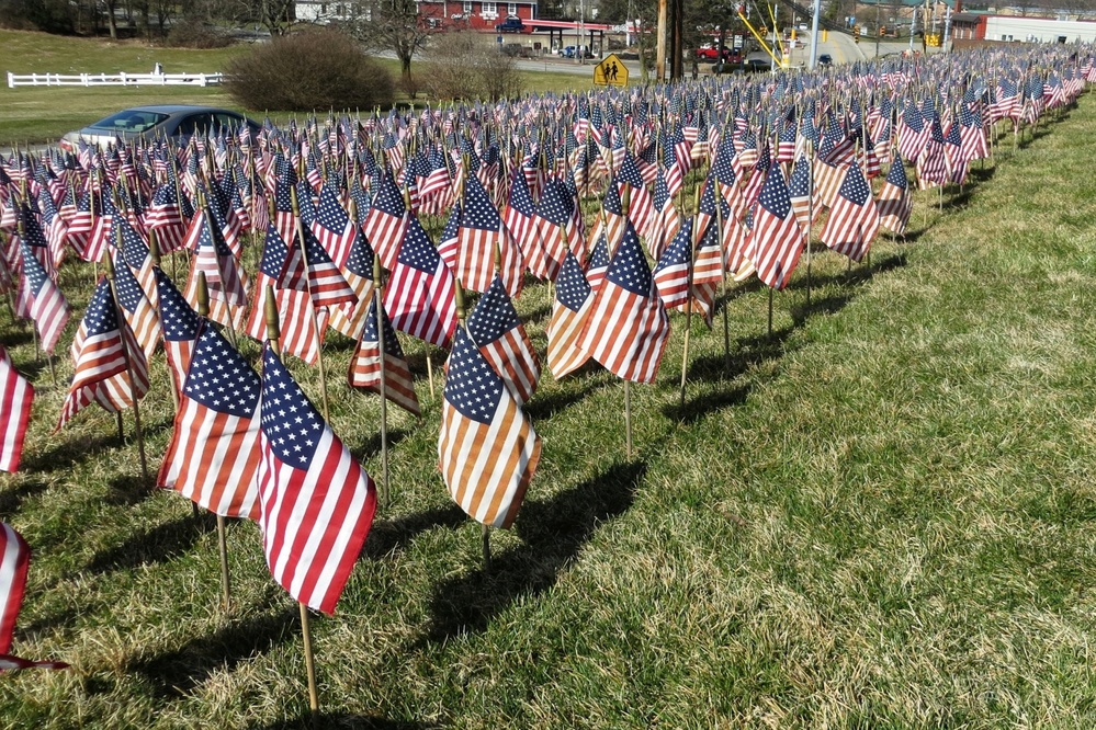 Community remembers service members through Field of Flags