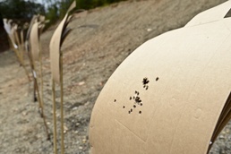 Teachers become the students