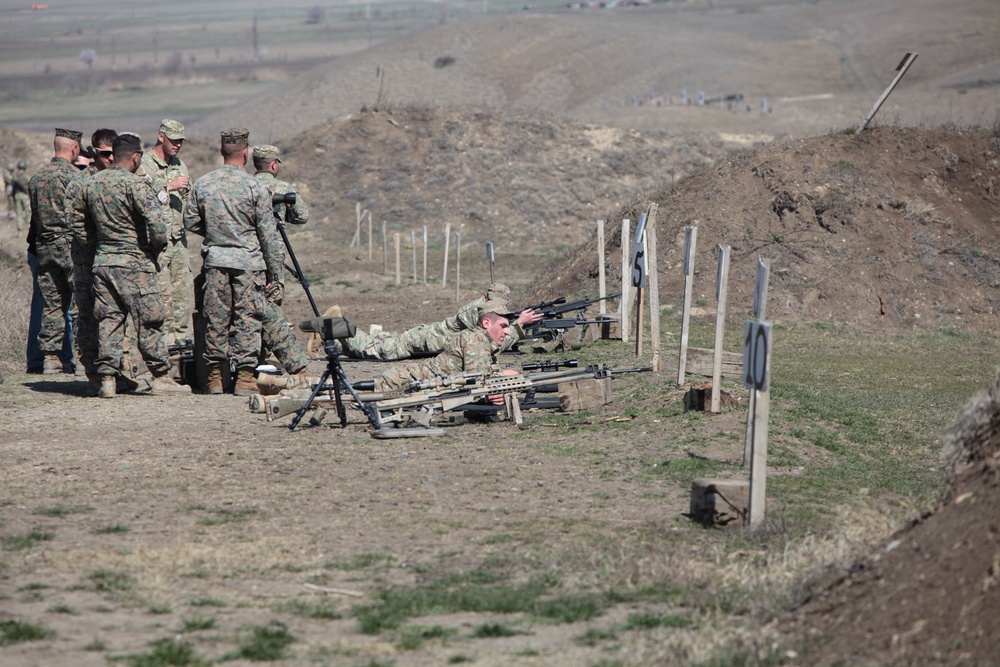 Designated marksman training