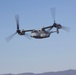 VMM-165 Flight