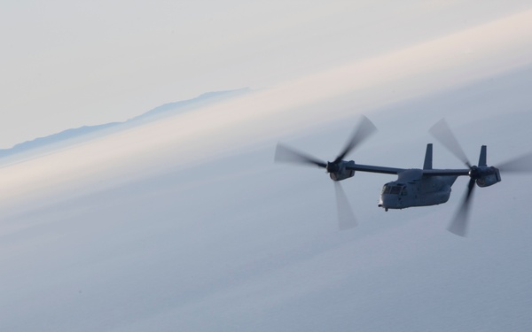 VMM-165 Flight