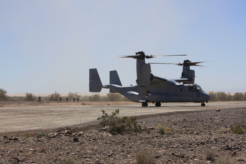 Operation Desert Tantrum