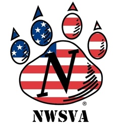 Northwest student vets reach out to support their battle buddies