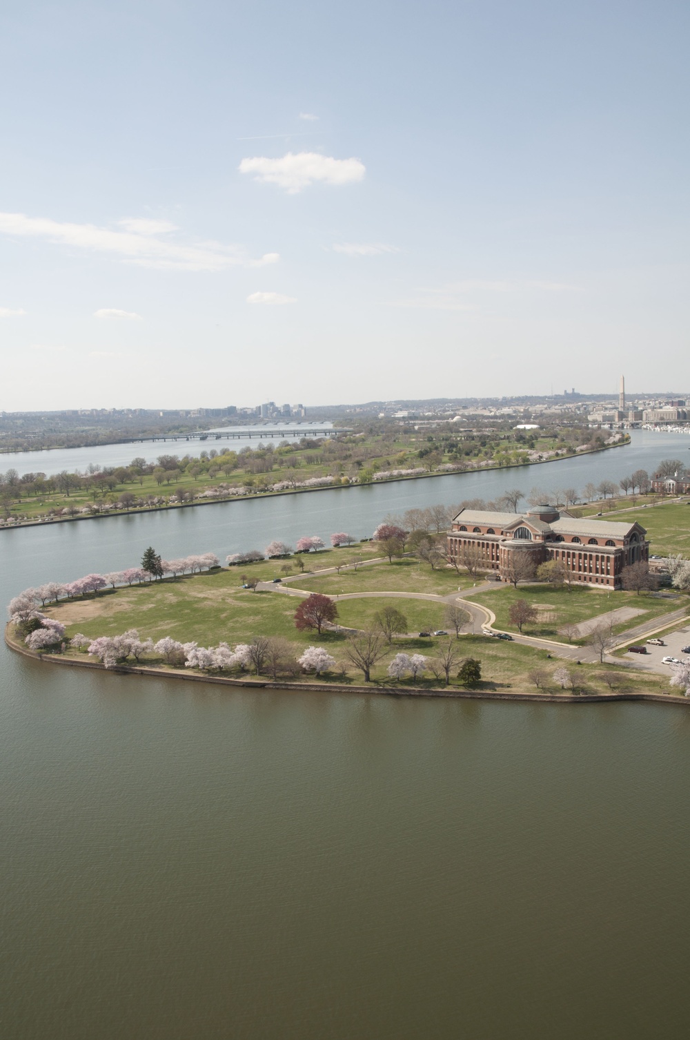 Cherry blossoms at Fort McNair