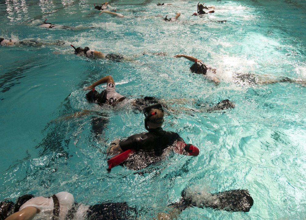 Surface Rescue Swimmer School