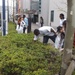 Community service project helps clean up Yokosuka