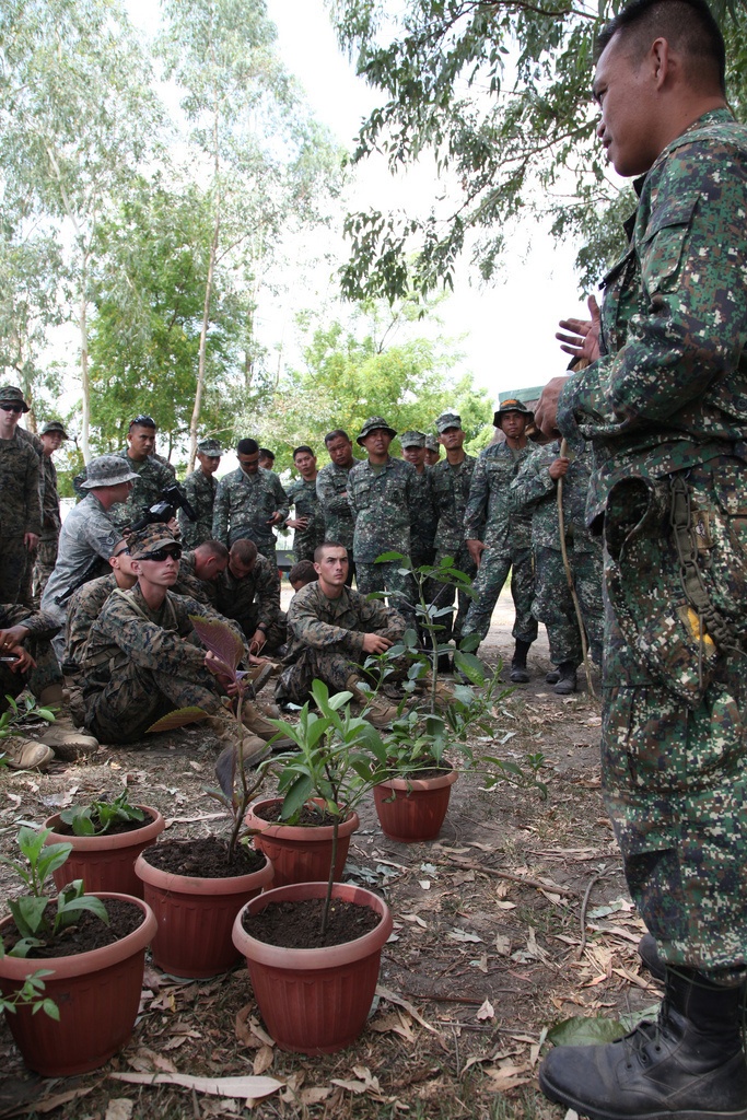 Philippine, US Marines learn jungle survival techniques