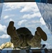 First military personnel free fall from C-145A
