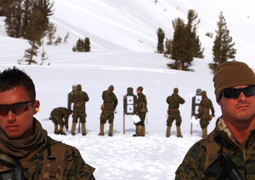 Scout skiers conduct biathlon