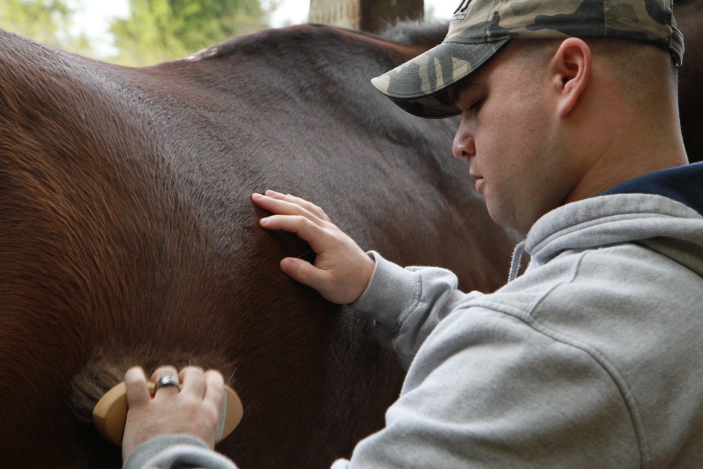 Hippotherapy, charitable organization helps wounded warriors