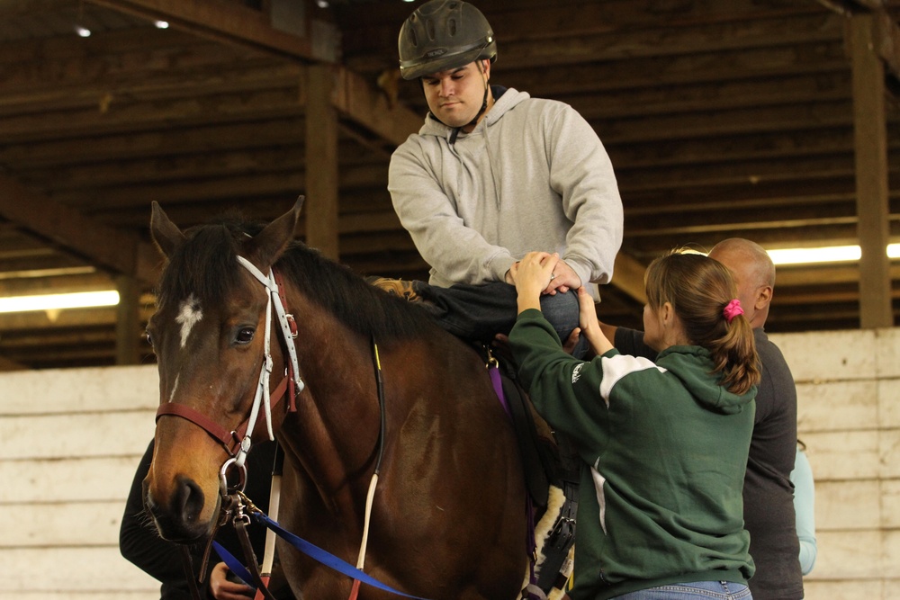Hippotherapy, charitable organization helps wounded warriors