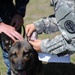MWD medical training