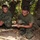 Philippine Marines share jungle survival skills with US Marines