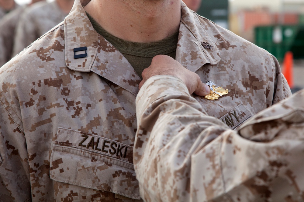 Fleet Marine Force Pinning