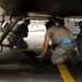 Maintainers maintain proficiency