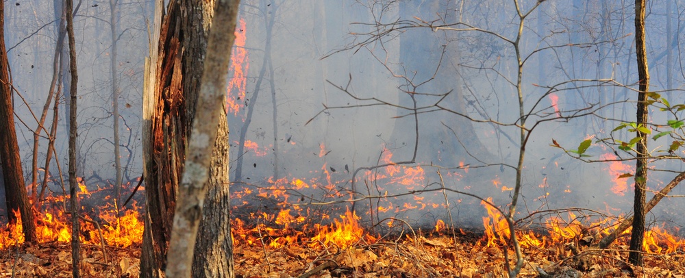 Base firefighting officials: largest fire in 25 years