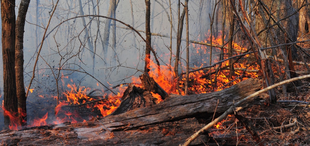 Base firefighting officials: largest fire in 25 years